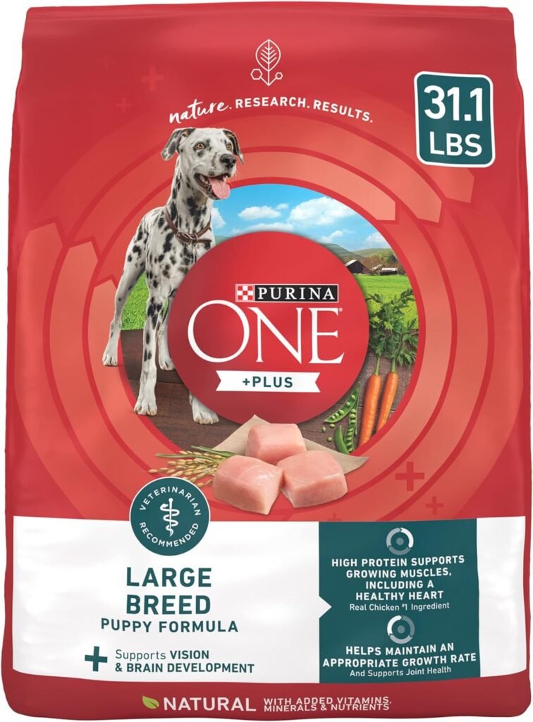 06 Purina ONE Plus Large Breed Puppy Food Dry Formula - 31.1 lb. Bag