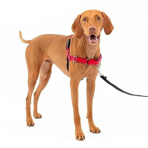 PetSafe Easy Walk dog harness., Red/black, Medium